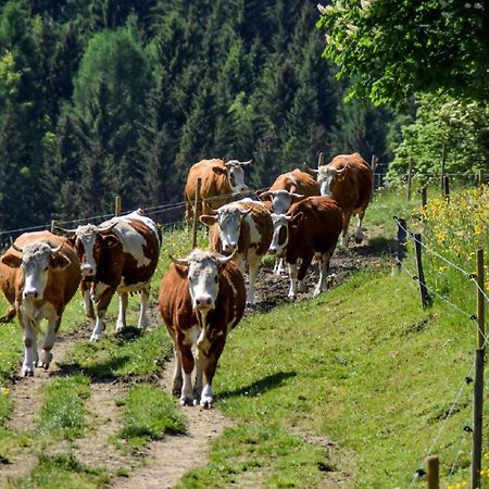 Urlaub Auf Dem Haberlhof Βίλα Lohberg Εξωτερικό φωτογραφία