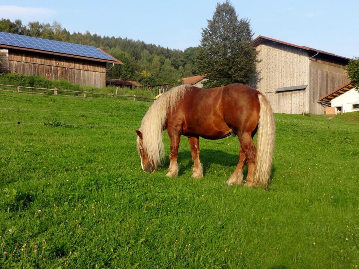 Urlaub Auf Dem Haberlhof Βίλα Lohberg Εξωτερικό φωτογραφία