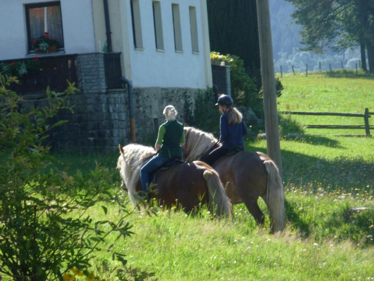 Urlaub Auf Dem Haberlhof Βίλα Lohberg Εξωτερικό φωτογραφία