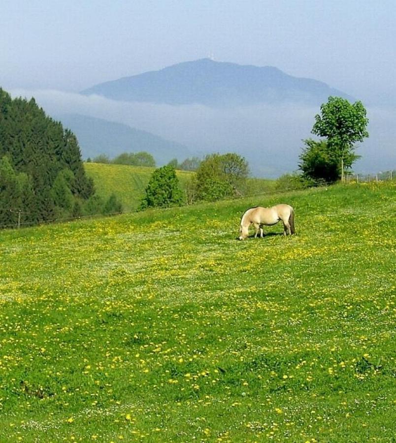 Urlaub Auf Dem Haberlhof Βίλα Lohberg Εξωτερικό φωτογραφία