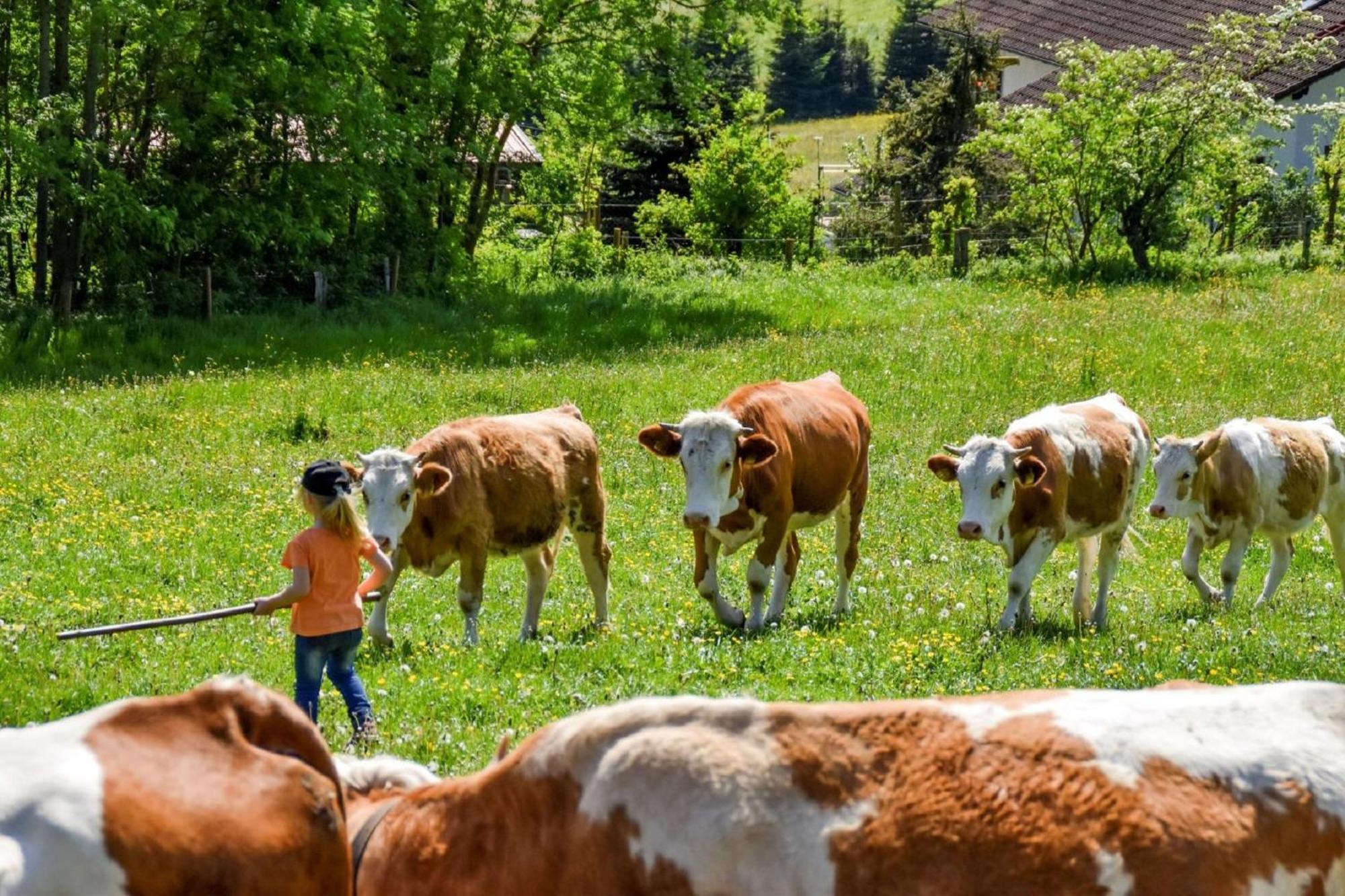 Urlaub Auf Dem Haberlhof Βίλα Lohberg Εξωτερικό φωτογραφία