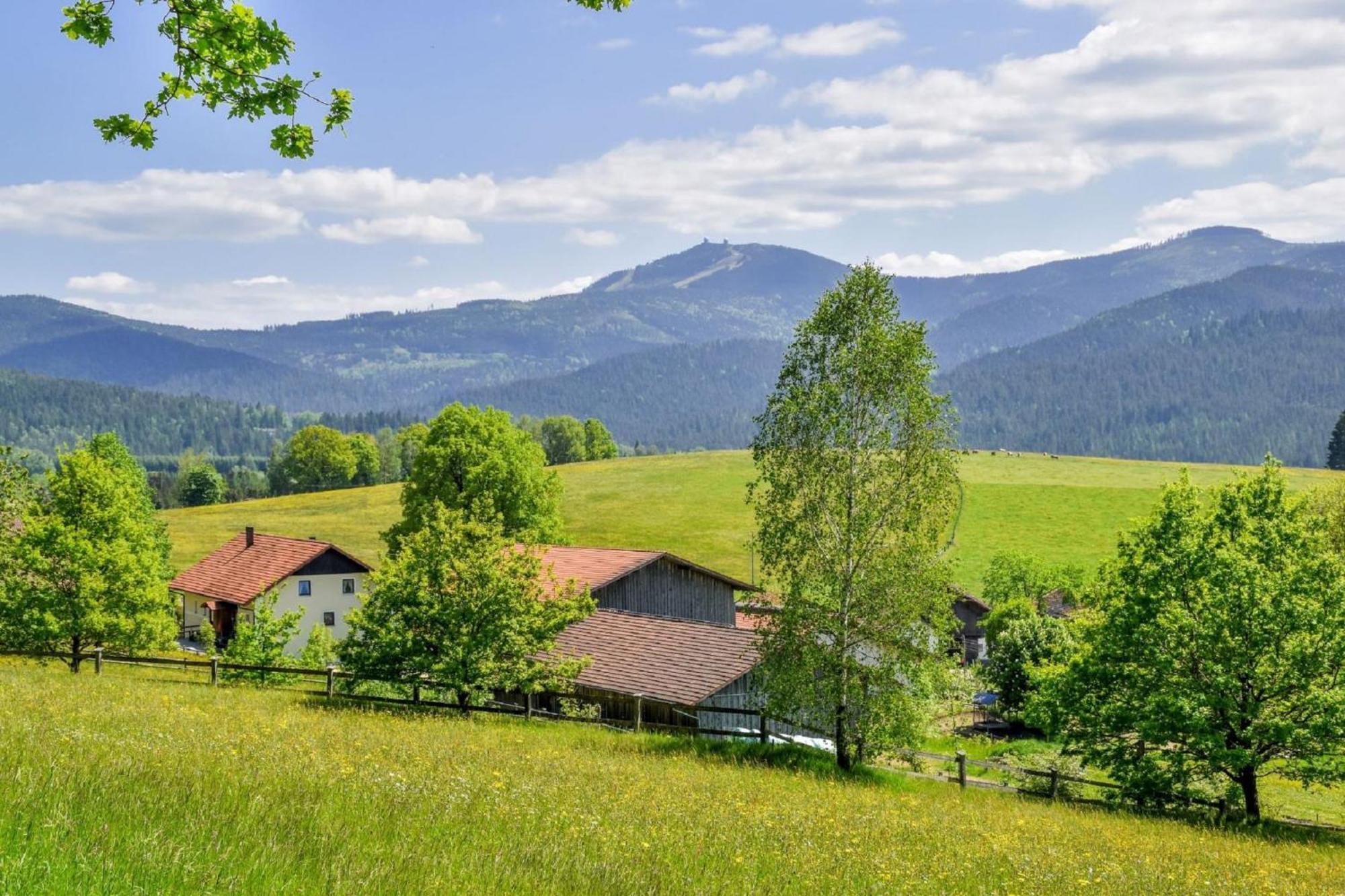 Urlaub Auf Dem Haberlhof Βίλα Lohberg Εξωτερικό φωτογραφία